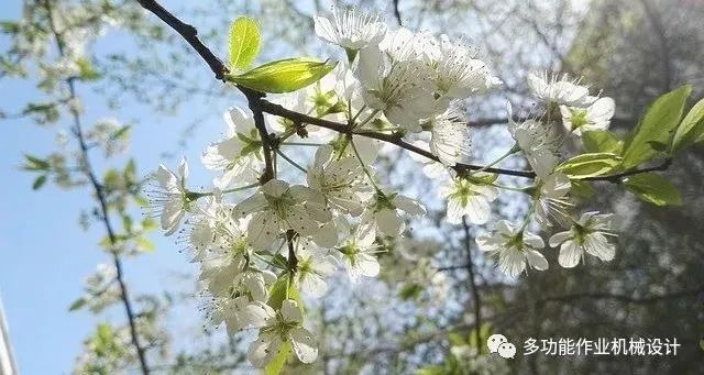 多功能果园作业平台--果园管理的好搭档！